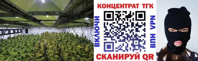 ТГК THC oil  Новая Ладога 